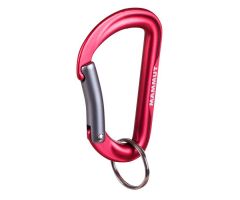 Karabiner Mammut Mini Biner Element RS